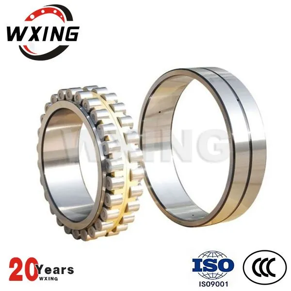 Διπλό πλήρες συμπλήρωμα σειράς κυλινδρικό ρουλεμάν κυλίνδρων