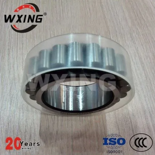 Κυλινδρικό ρουλεμάν ρουλεμάν μειωτή