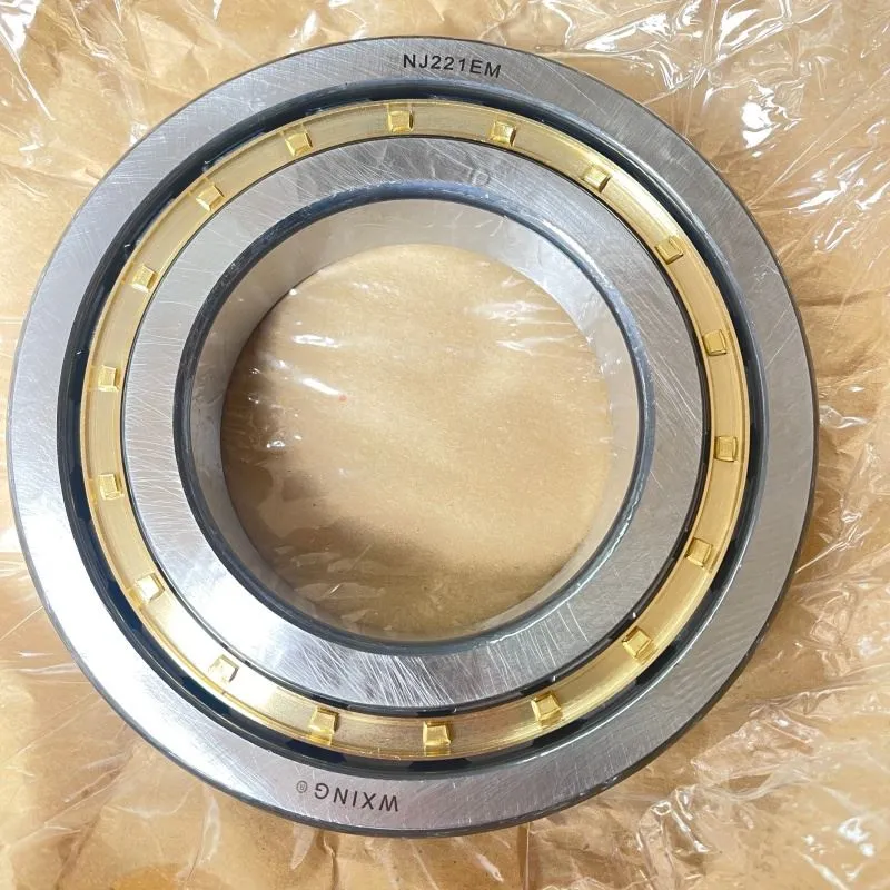 Κύλινδρα κυλίνδρων NJ221EM